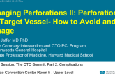 Managing Perforations II: Perforation of the Target Vessel- How to Avoid and Manage