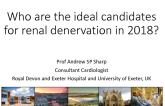 Who are the Ideal Candidates for Renal Denervation?