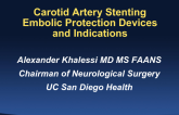 Carotid Artery Disease Technical Considerations: Embolic Protection Options and Selection