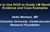 How to Use IVUS to Guide LM Stenting: Evidence and Case Examples