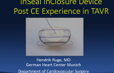 InSeal Closure Device: Post CE Experience in TAVR and EVAR Procedures