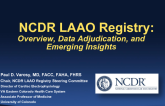 The LAAO Registry: Overview, Data Adjudication, and Emerging Insights