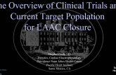 The Overview of Clinical Trials and Current Target Population for LAAC Closure