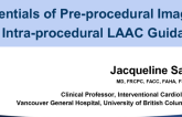 Essential of Pre-procedural Imaging and Intra-procedural Guidance