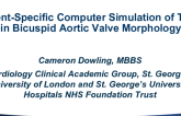 Patient-Specific Computer Simulation of TAVR in Bicuspid Aortic Valve Morphology