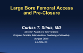 Large Bore Femoral Access and Pre-Closure
