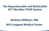 The Repositionable and Retrievable HLT Meridian TAVR System