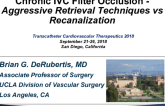 Chronic IVC Filter Occlusion: Aggressive Retrieval Techniques vs Recanalization (With Case Reviews)