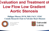 Case #3: Evaluation and Treatment of Low Flow Low Gradient Aortic Stenosis