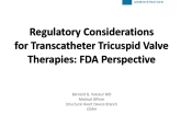 Regulatory Considerations for Transcatheter Tricuspid Valve Therapies