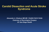 Case #2: Acute Stroke With Cervical ICA Dissection and Intracranial Occlusion