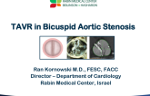 Bicuspid Aortic Stenosis: How To Treat