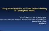 Using Hemodynamics to Guide Decision-Making in Cardiogenic Shock