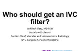 Who Should Get an IVC Filter? Review of the Guidelines