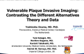 Vulnerable Plaque Invasive Imaging: Contrasting the Different Alternatives (Theory and Data)