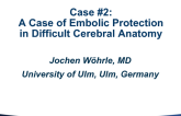 Case #2: A Case of Embolic Protection in Difficult Cerebral Anatomy