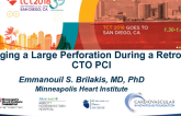 Case #8: Managing a Large Perforation During a Retrograde CTO PCI