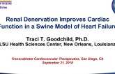 TCT-30: Renal Denervation Improves Cardiac Function in a Swine Model of Heart Failure
