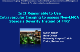 Is It Reasonable to Use Intravascular Imaging to Assess Non-LMCA Stenosis Severity Instead of FFR?