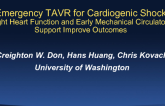 TCT-100: Emergency TAVR for Cardiogenic Shock—Right Heart Function and Early Mechanical Circulatory Support Improve Outcomes