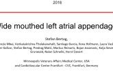Case #6: Closing the Wide-Mouthed Multilobed LAA