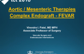 Case Presentation: Complex Endograft – FEVAR
