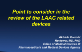 Point to Consider in the Review of the LAAC Related Devices: Japanese Regulatory View: PMDA