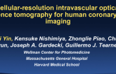 Cellular-Resolution Intravascular Optical Coherence Tomography for Human Coronary Artery Imaging