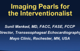 Imaging Pearls for the Interventional Cardiologist