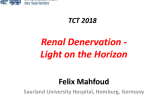 Renal Denervation: Light on the Horizon?