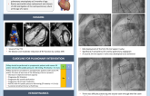 Successful Rescue of a Mal-Deployed Transcatheter Pulmonic Valve