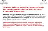Occlusion of Abdominal Aorta During Coronary Angiography with FFR Due to Migration of the Left Ventricle Thrombus in Patient with Thrombocytosis