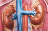 Prematurely Halted Pilot Study Snaps Recent Winning Streak for Renal Denervation