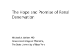 The Hope and Promise of Renal Denervation