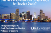 Can We Personalize Risk Stratification for Sudden Death?