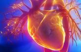 Angina Without Obstructive Stenosis: No Longer a ‘Black Box’ Mystery, Say Experts