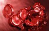NOACs Significantly Curb Risk of VTE in Cancer Patients