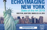 Echo/Imaging New York