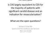 Is CAS largely equivalent to CEA for the majority of patients with significant carotid disease and an indication for revascularization?
