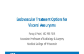 Endovascular Treatment Options for Visceral Aneurysms