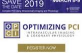 Intravascular Imaging and Coronary Physiology Workshop