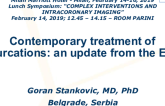 Contemporary treatment of bifurcations: an update from the EBC 