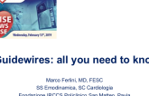 Guidewires: all you need to know 