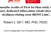 12 months results of First-In-Man study with coronary dedicated bifurcation cobalt-chromium sirolimus-eluting stent BiOSS LimC