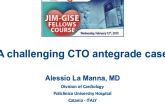 A challenging CTO antegrade case 
