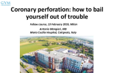 Coronary perforation: how to bail yourself out of trouble