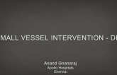 Small Vessel Intervention - DES