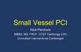 Small Vessel PCI