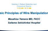 Basic Principles of Wire Manipulation