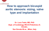 How to approach bicuspid aortic stenosis: sizing, valve type and implantation